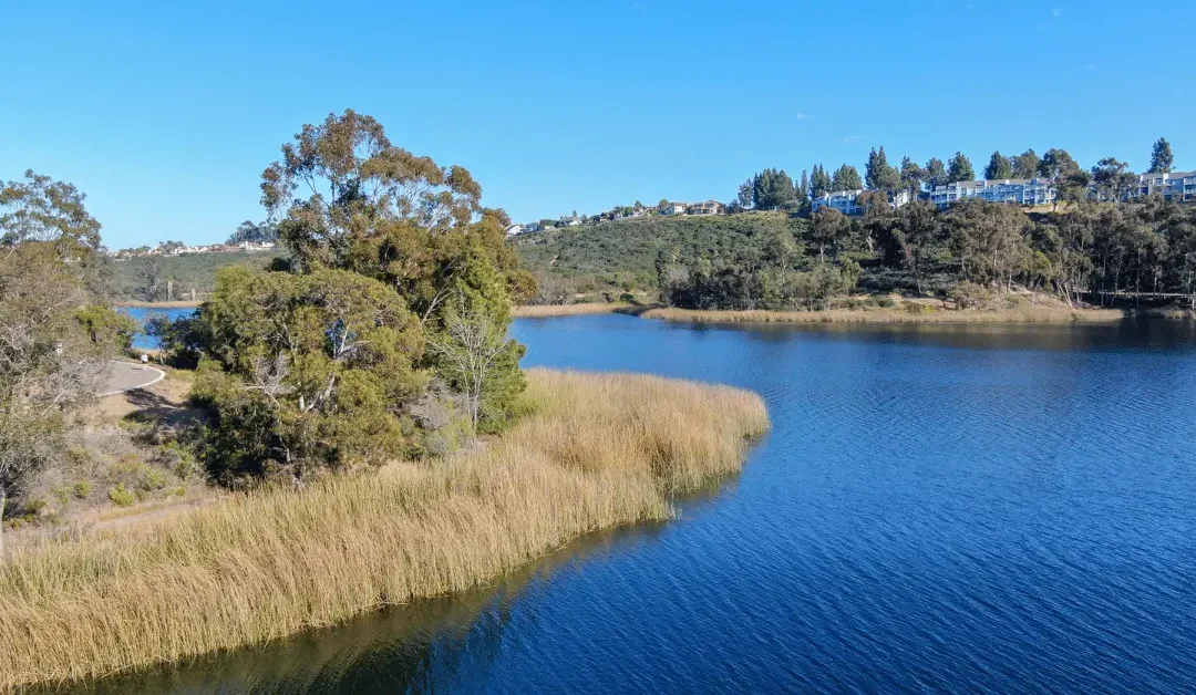 Why Scripps Ranch Homeowners Choose JJ’s Fence Company