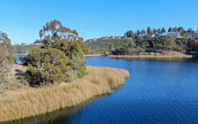 Why Scripps Ranch Homeowners Choose JJ’s Fence Company